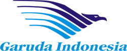Garuda Indonesia picture